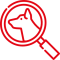 005-zoom-v