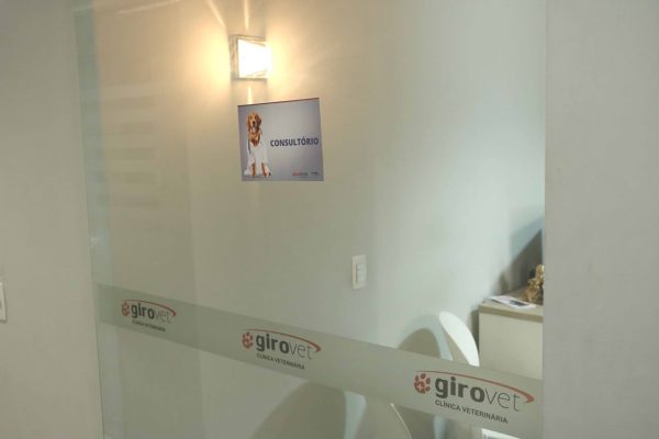 girovet1